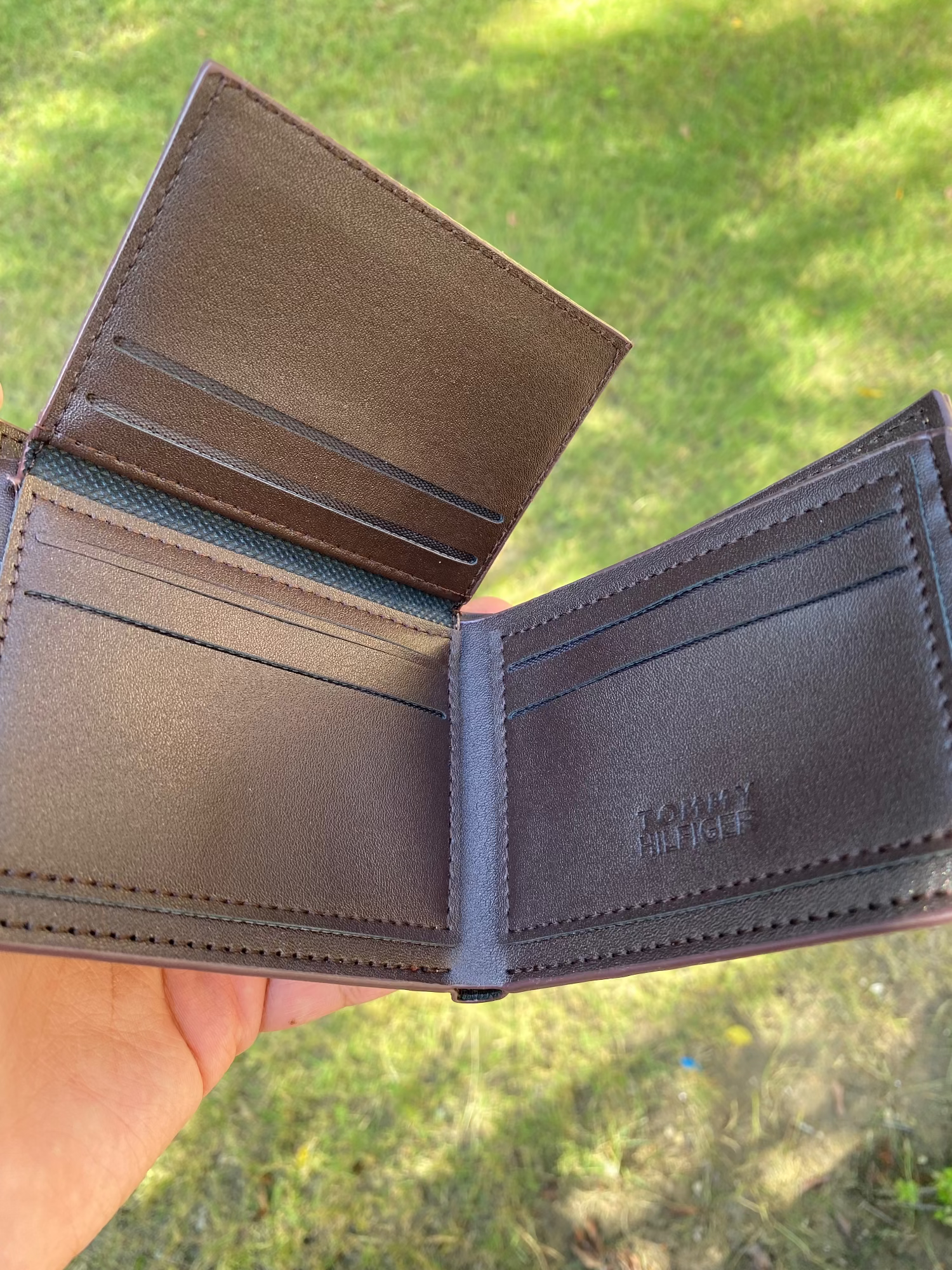 black-brown-dark brown